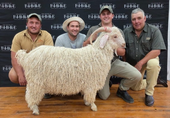 National Angora Ram Sale 2025