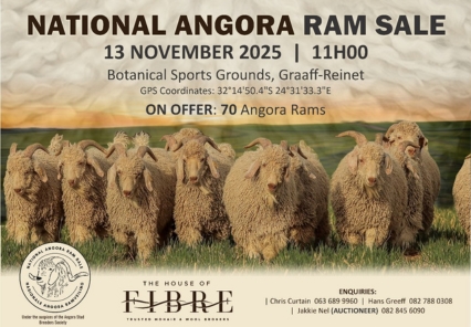 National Angora Ram Sale  Veld Ram