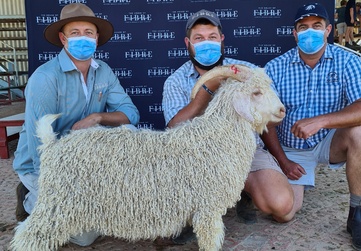 Three individuals wearing masks and hats, seated and posing with an Angora ram at the Jansenville Ram Auction, featuring a backdrop with The House of Fibre logo.