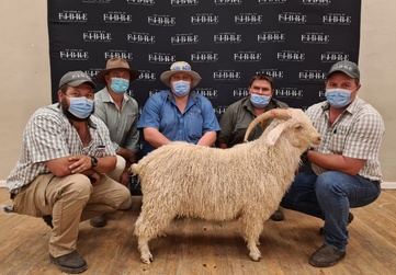 Five individuals wearing masks pose with an Angora goat in front of a backdrop with the logo of The House of Fibre.