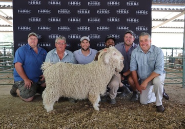 Group of five individuals smiling at the camera, kneeling and standing around a large woolly Angora ram at a livestock show. The background features a sign with multiple logos of The House of Fibre.