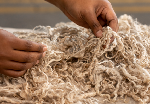 A person is sorting through a pile of raw wool, focusing on the texture and quality of the fibers.