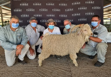 Five individuals wearing masks pose with a sheep in front of a banner with multiple House of Fibre logos. They are at the Van Hassalt Angora Auction 2021.