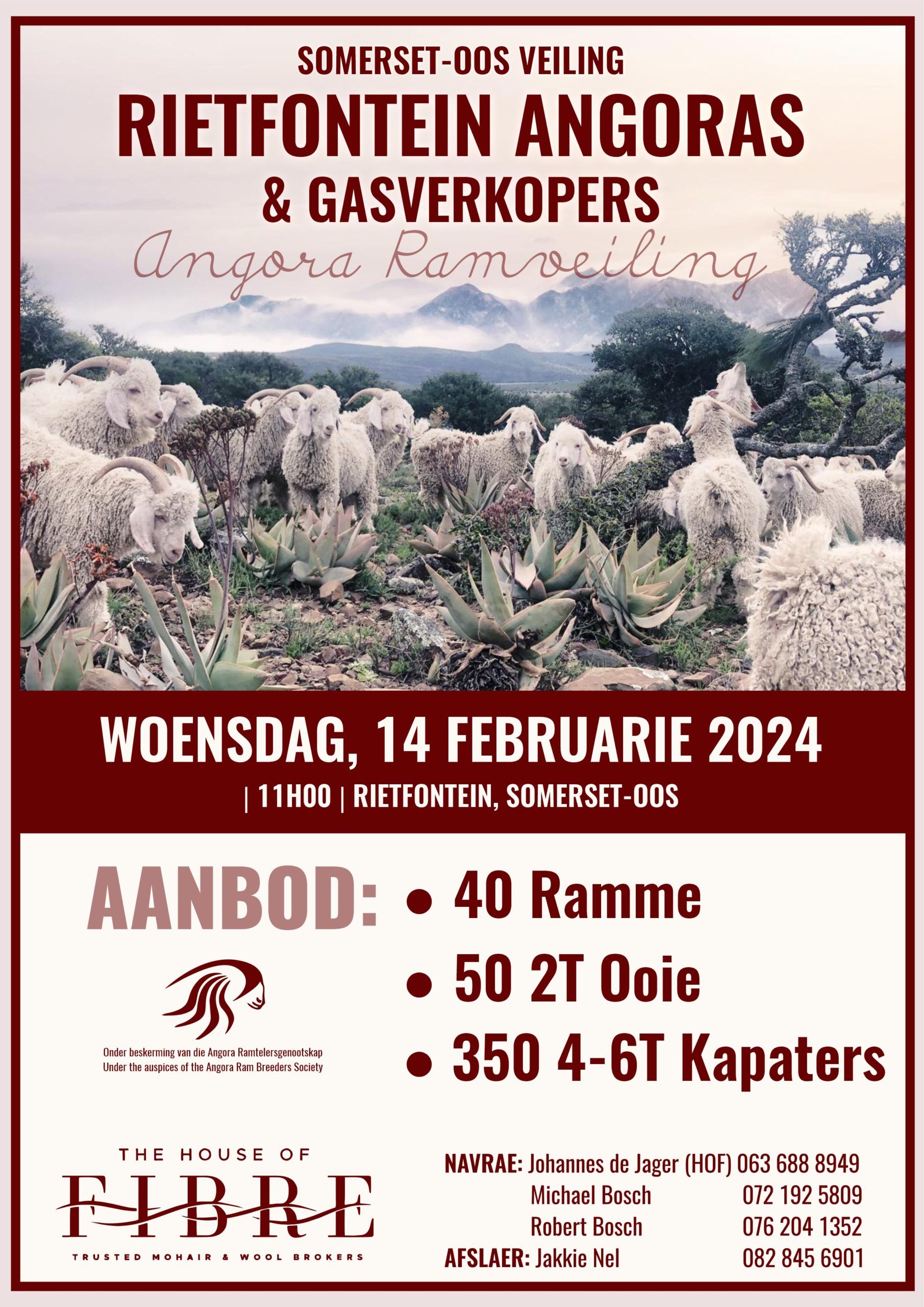 Rietfontein Angoras & Guest Sellers Ram Sale The House Of Fibre