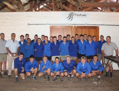 Empowering Future Talent: House of Fibre’s Mohair Classing Course at Hoër Landbouskool Marlow